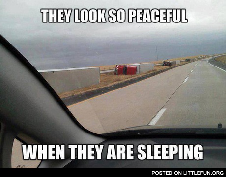 They look so peaceful when they are sleeping