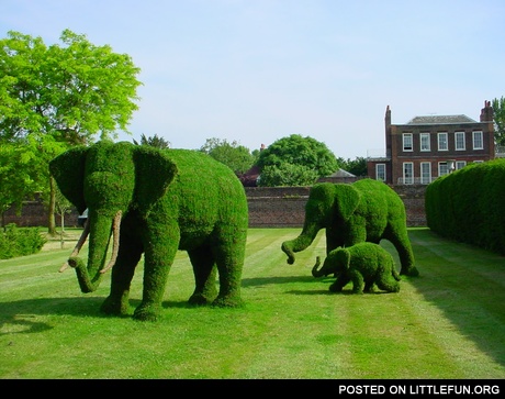 Green elephants