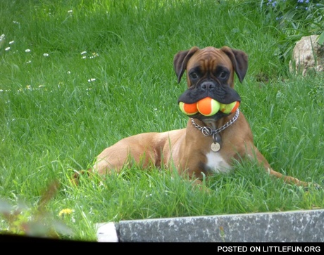 He saw one more