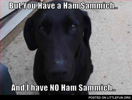 Ham sammich