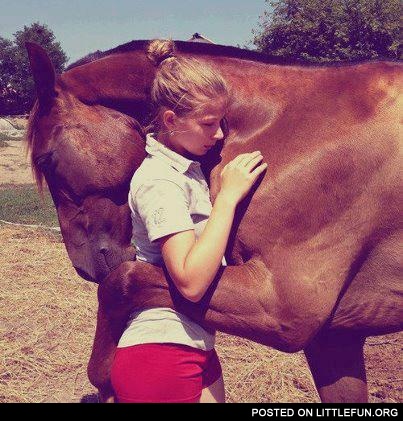 Horse. Hugs.