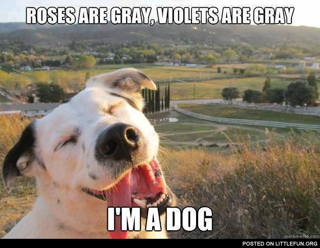 Roses are gray