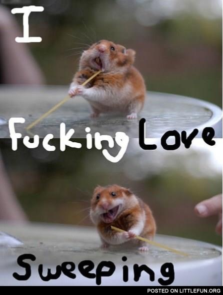 I love sweeping