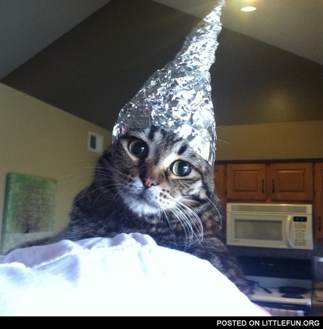 Foil hat