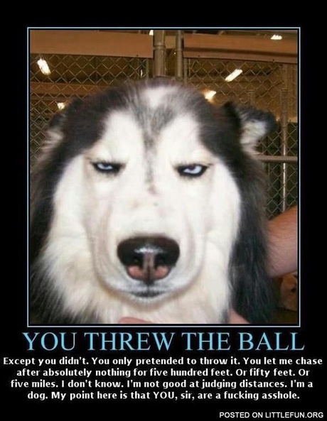 You threw the ball