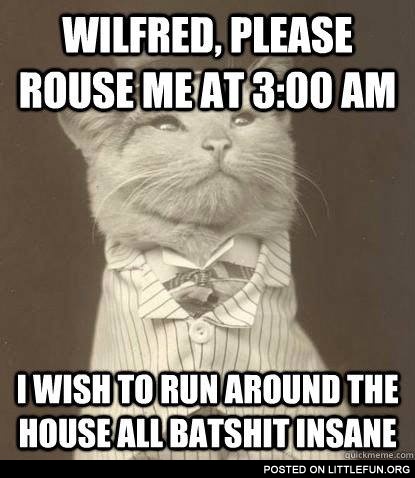 Wilfred, please rouse me at 3:00 am