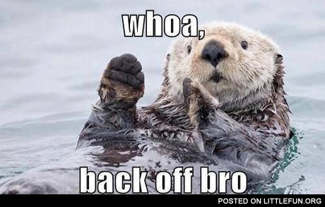 Back off, bro