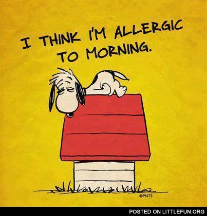 I think I'm allergic to morning