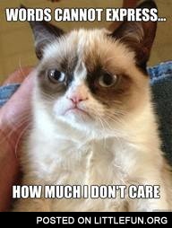 Grumpy cat just grumpy