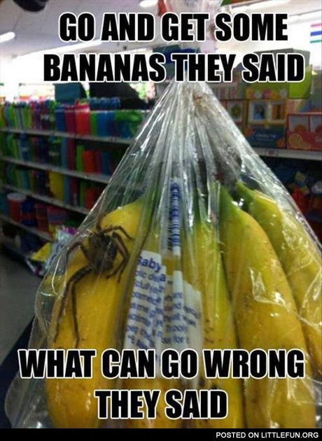 Go and get some bananas
