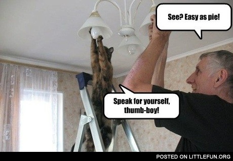 Easy as pie