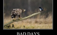 Bad days