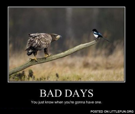 Bad days