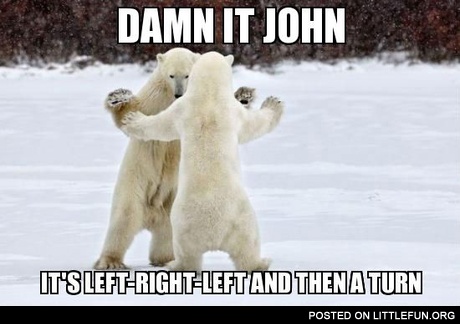 Dancing bears