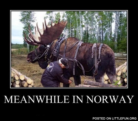 Meanwhile in Norway