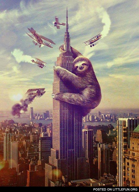 Sloth Kong