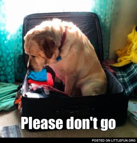 Please don't go