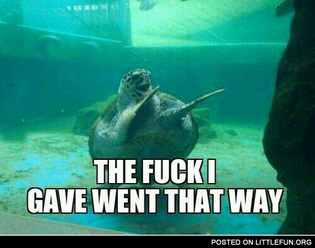 It went that way