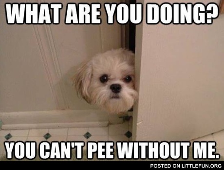 You can't pee without me
