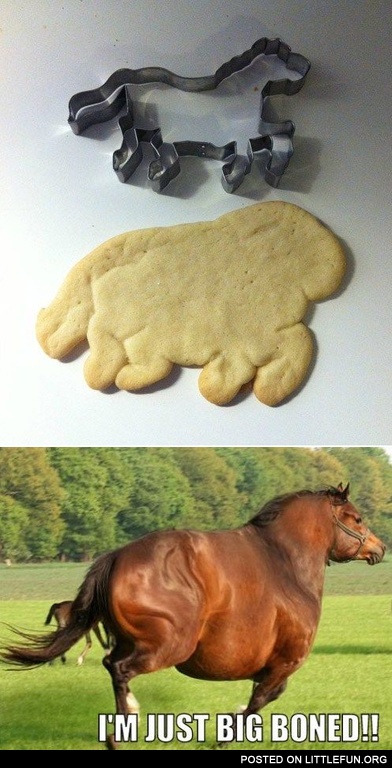 Big boned horse