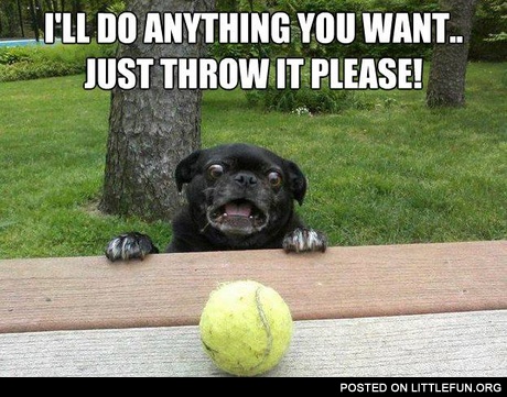 Just throw it please