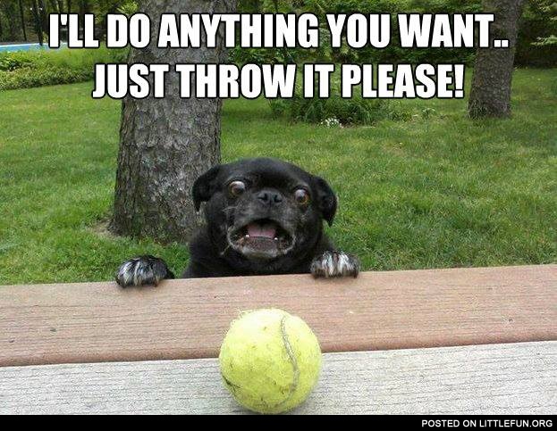 Just throw it please
