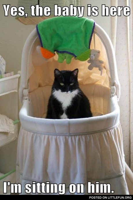 The baby is here