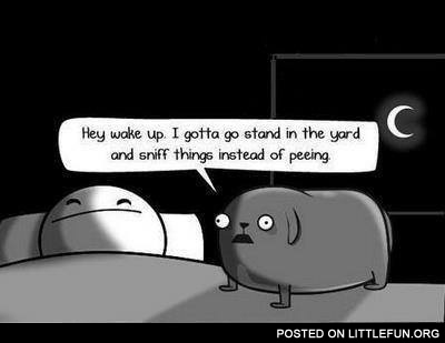 Hey, wake up