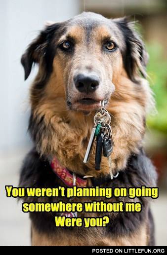 You weren't planning?