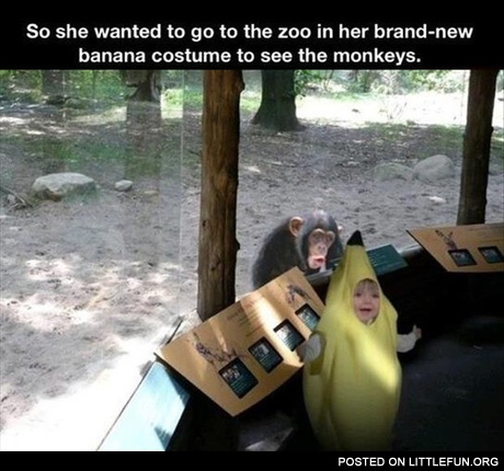 To the zoo in brand new banana costume