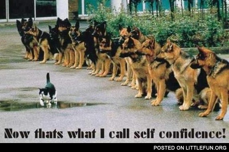 Self confidence