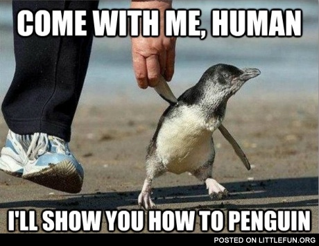 Come with me, human