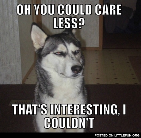 Oh, you could care less?