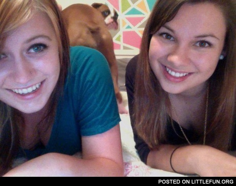 Dog photobombs