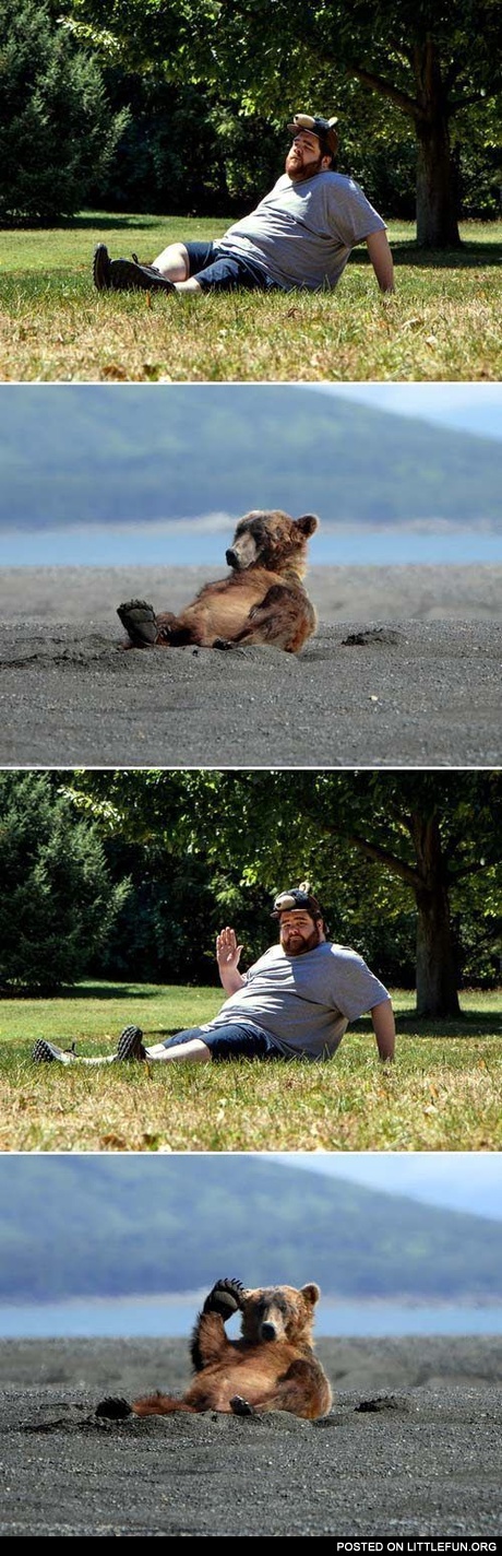 Hi bear