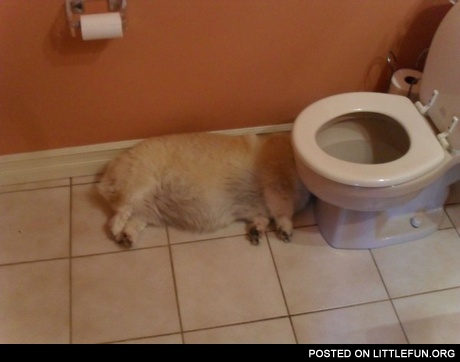 After party