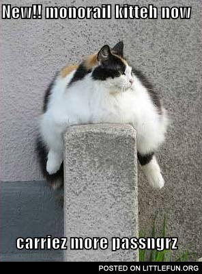 Monorail kitteh