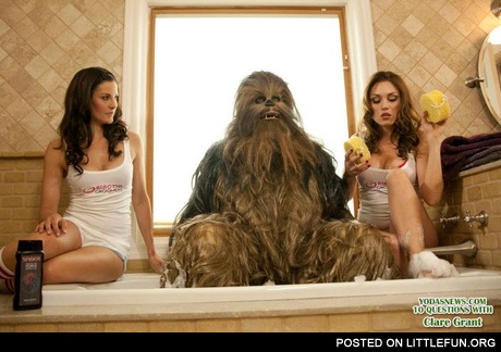 Chewy like a boss