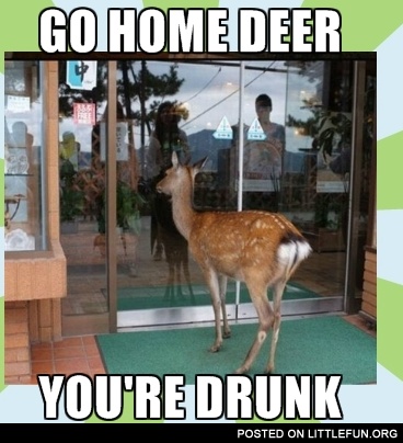 Go home deer