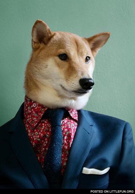 Good day Sir