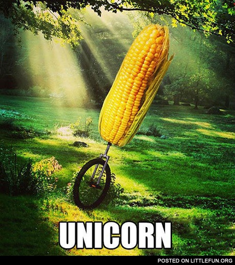 Unicorn