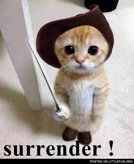 Surrender