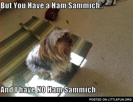 A ham sammich