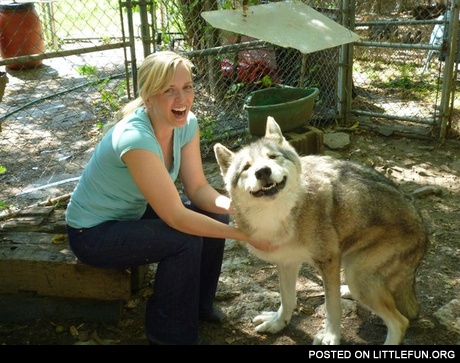 Smiling wolf