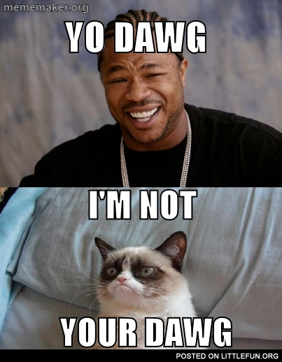 Yoi Dawg