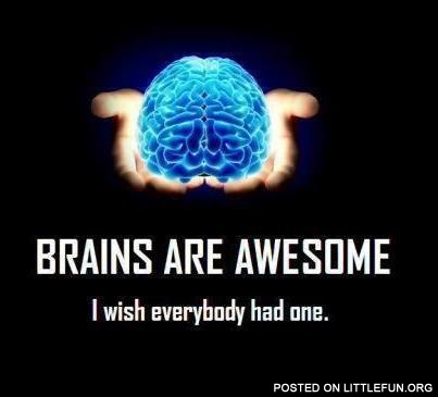 Brains are awesome