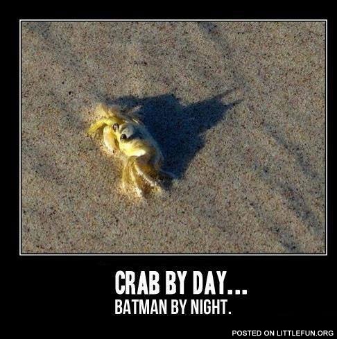Crab by day, batman by night