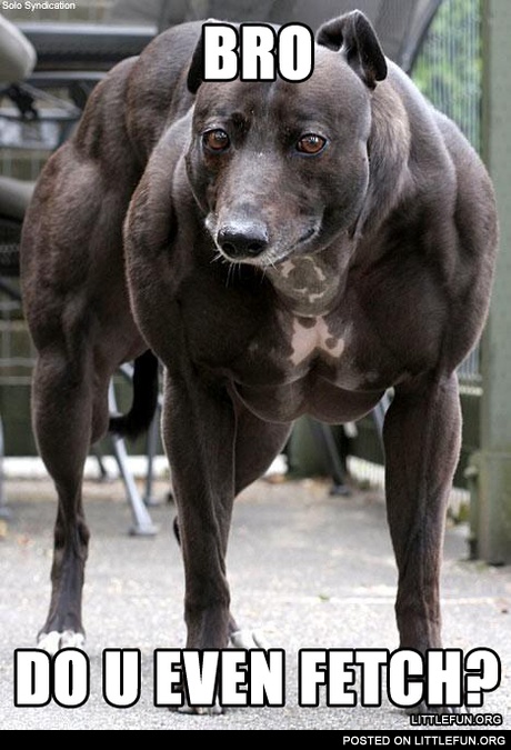 Bro, do you even fetch?