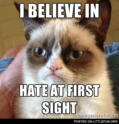 I believe in hate at first sight