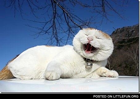 I think he is singing something...